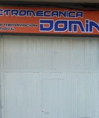 Electromecánica Domingo